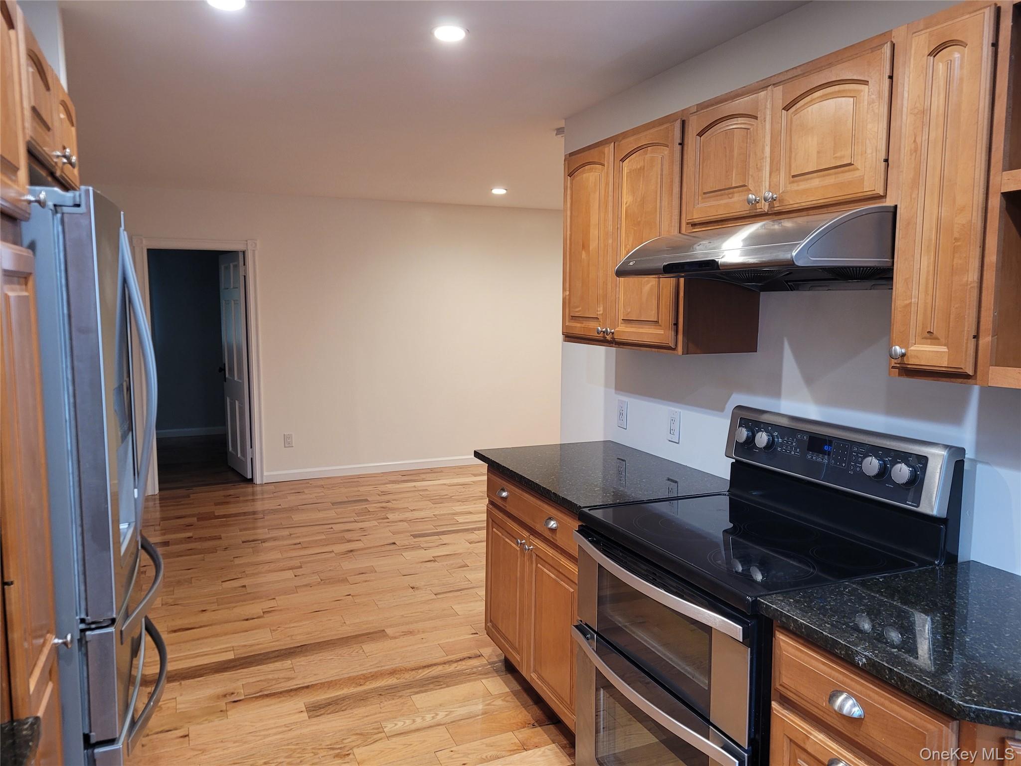 31 Apricot Road Rocky Point, NY 11778 - Photo 5 of 31 Kitchen with appliances with stainless steel finishes, under cabinet range hood, light wood-type flooring, recessed lighting, and dark stone countertops