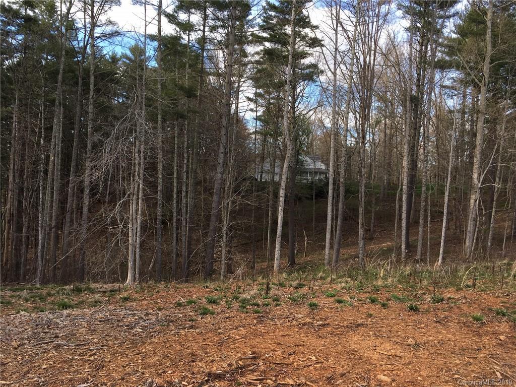 Lot 6 Forest Ridge Road, Unit 6 Mars Hill, NC 28754 - Photo 4 of 12 a backyard of a house with lots of trees