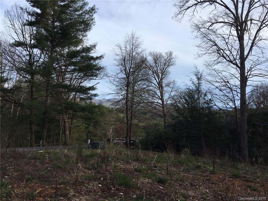 Lot 6 Forest Ridge Road, Unit 6 Mars Hill, NC 28754 - Photo 6 of 12 a view of a forest with trees