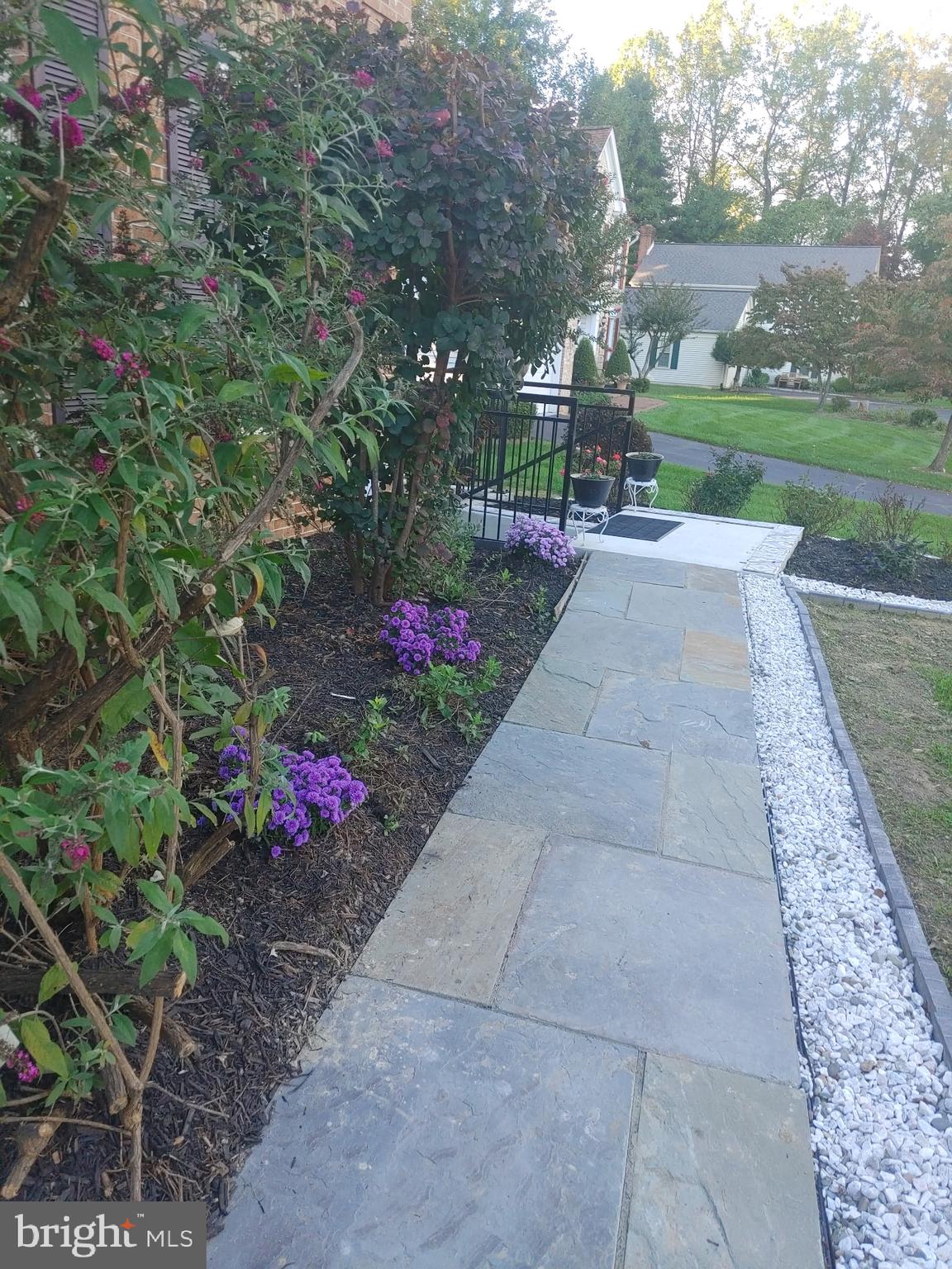 14908 Village Gate Drive Silver Spring, MD 20906 - Photo 50 of 57 a view of a garden with flowers