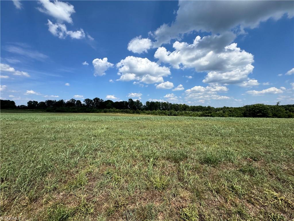 Lot #7 Sandy Springs Road Mocksville, NC 27028 - Photo 1 of 4
