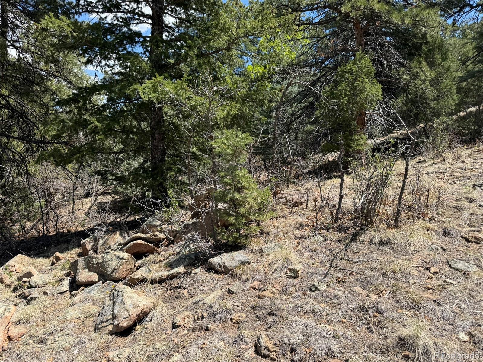 477 Bear Peak Road Westcliffe, CO 81252 - Photo 9 of 39