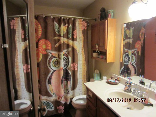 336 High View Drive Falling Waters, WV 25419 - Photo 10 of 17 Bath