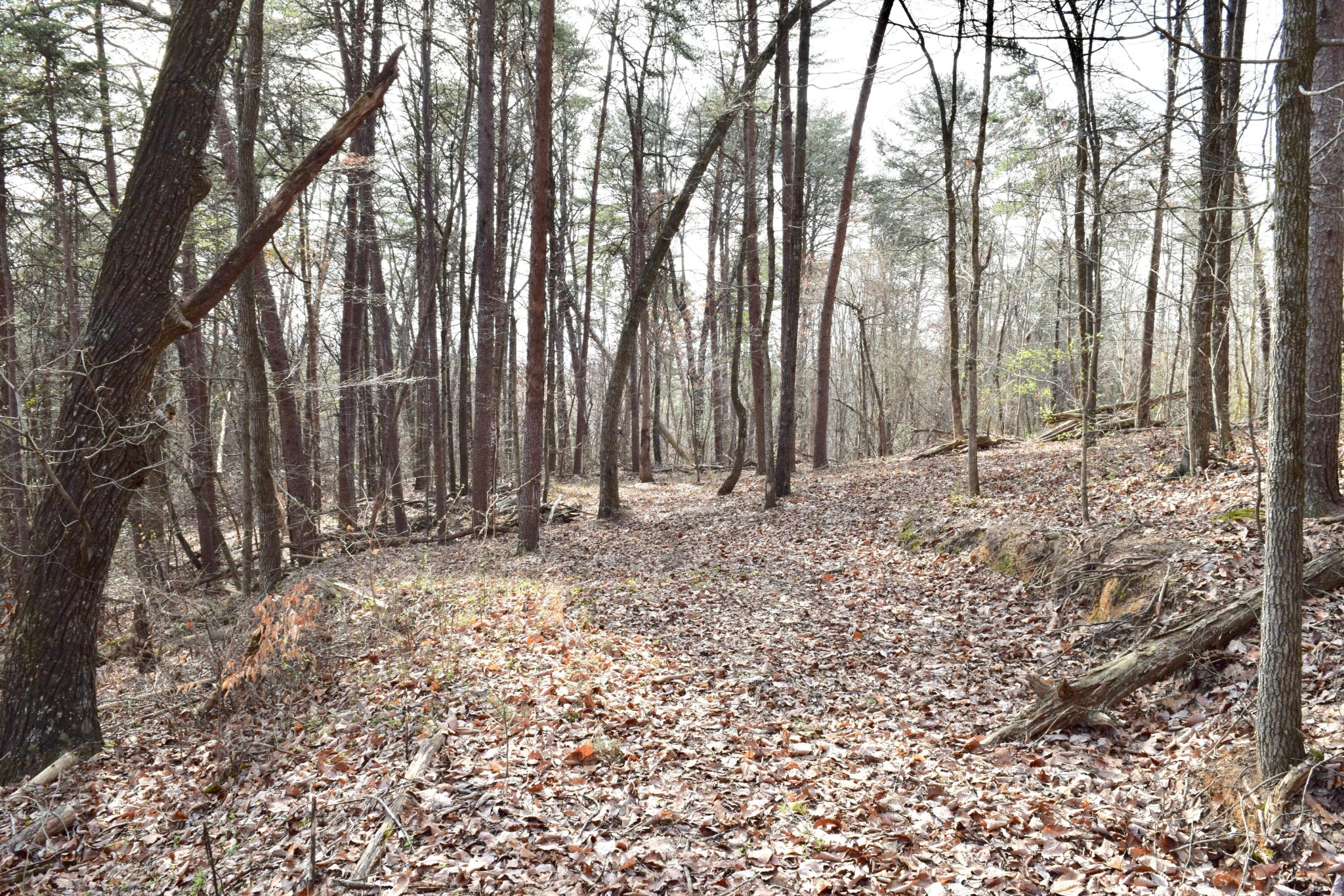 0 Ragnar Drive Hixson, TN 37343 - Photo 3 of 7 Gallery Image 3
