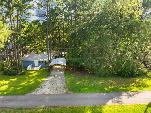a view of a yard with plants and large trees