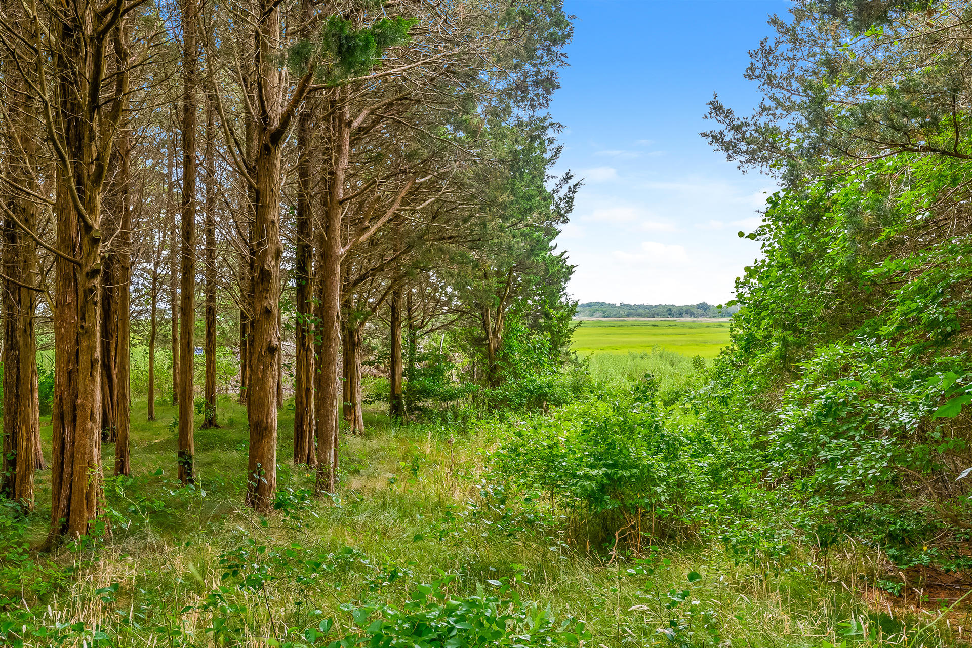 160 Point Hill Road West Barnstable, MA 02668 - Photo 31 of 39 a view of lake view
