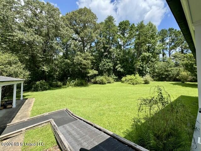 481 Greenfield Road Natchez, MS 39120 - Photo 52 of 52 View from back porch