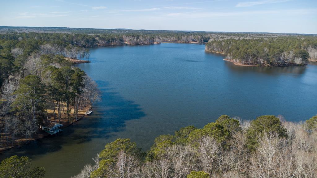 3203 Piedmont Lake Road Pine Mountain, GA 31822 - Photo 44 of 53