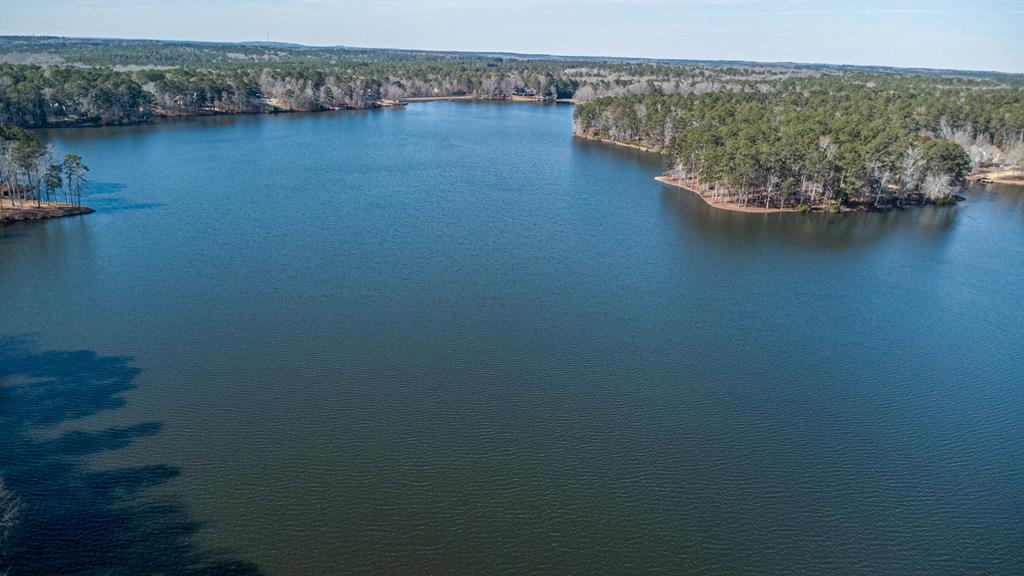 3203 Piedmont Lake Road Pine Mountain, GA 31822 - Photo 45 of 53