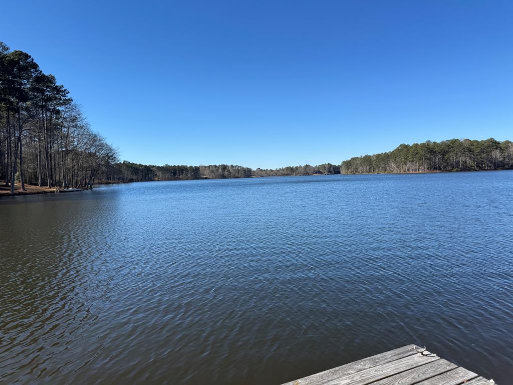 3203 Piedmont Lake Road Pine Mountain, GA 31822 - Photo 6 of 53