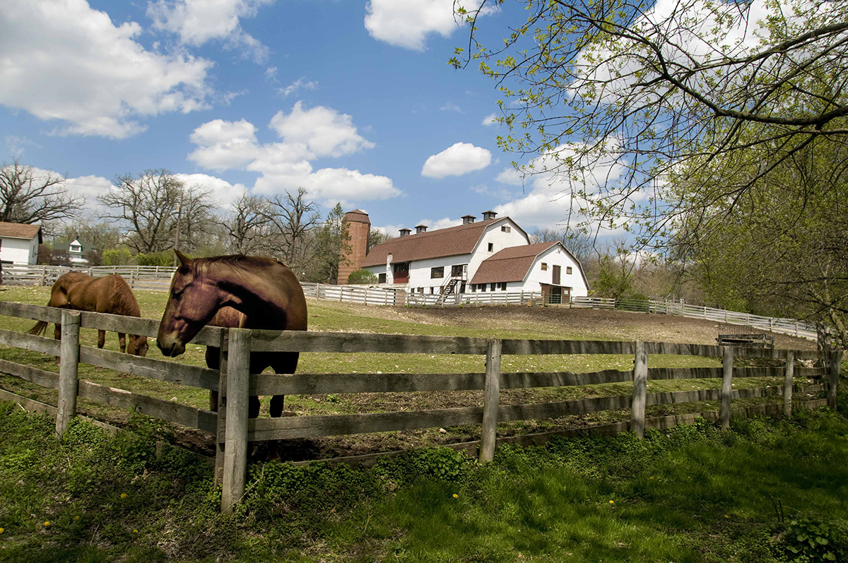 235 Valley Road Trout Valley, IL 60013 - Photo 43 of 47