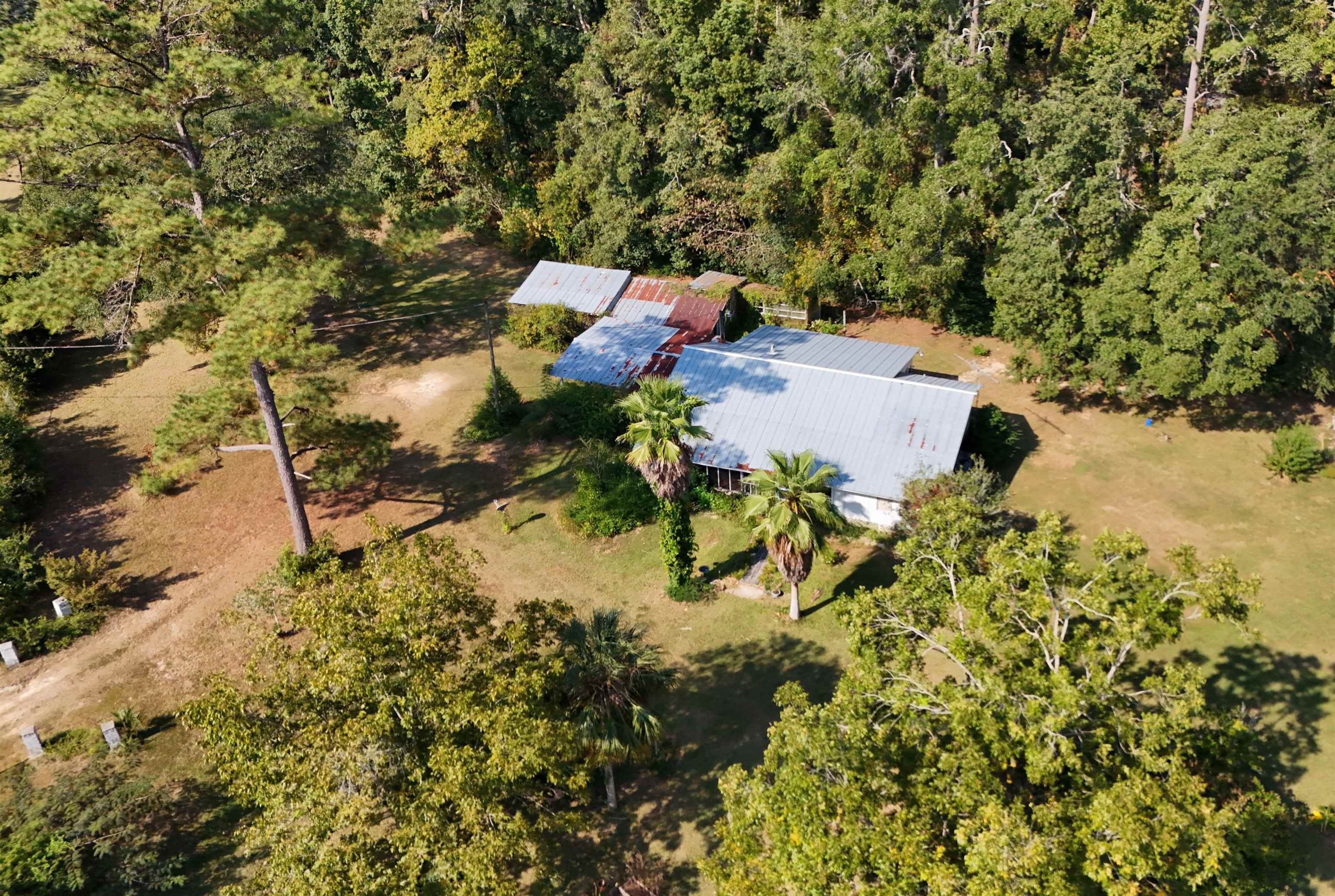 1150 Old Lloyd Road Monticello, FL 32344 - Photo 6 of 37