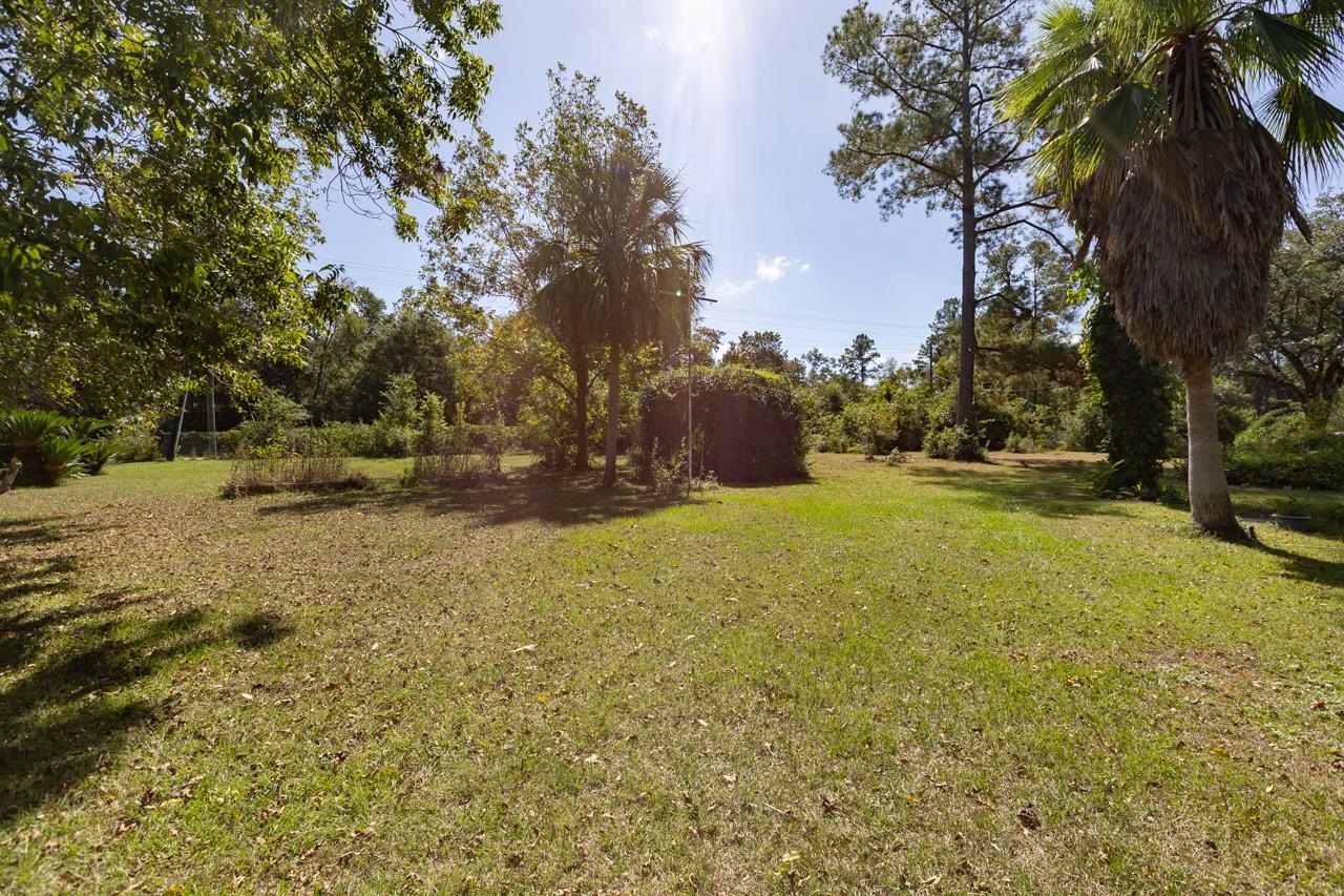1150 Old Lloyd Road Monticello, FL 32344 - Photo 8 of 37