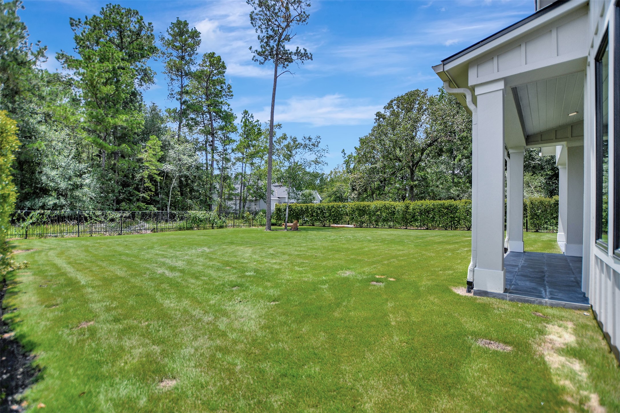 411 Copa Palm Loop Montgomery, TX 77316 - Photo 43 of 46 a view of backyard with green space
