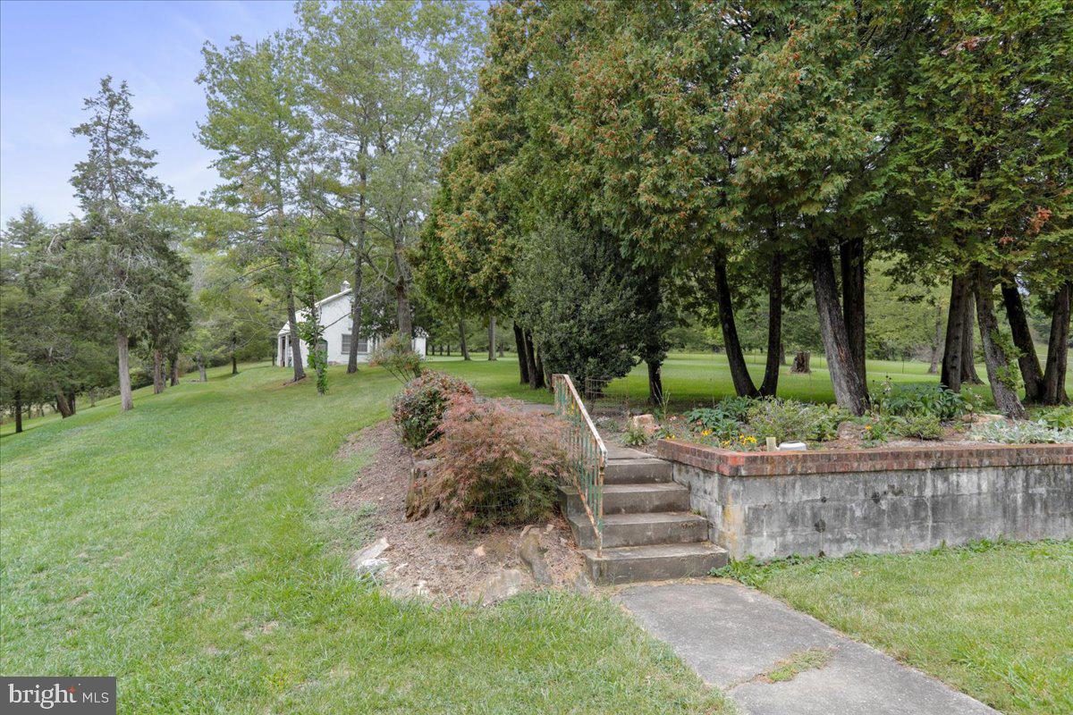 12465 Supinlick Ridge Road Edinburg, VA 22824 - Photo 16 of 76