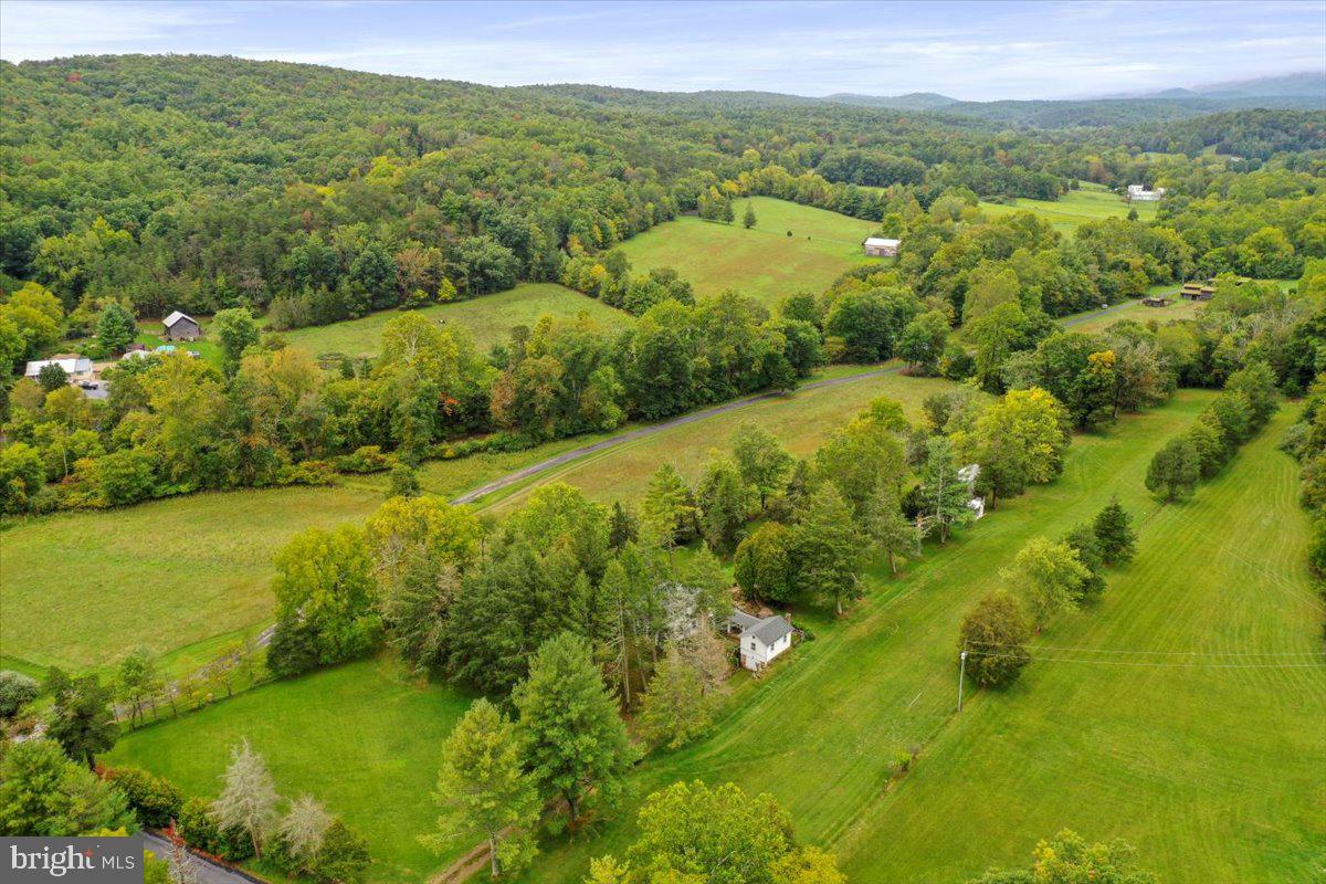 12465 Supinlick Ridge Road Edinburg, VA 22824 - Photo 22 of 76