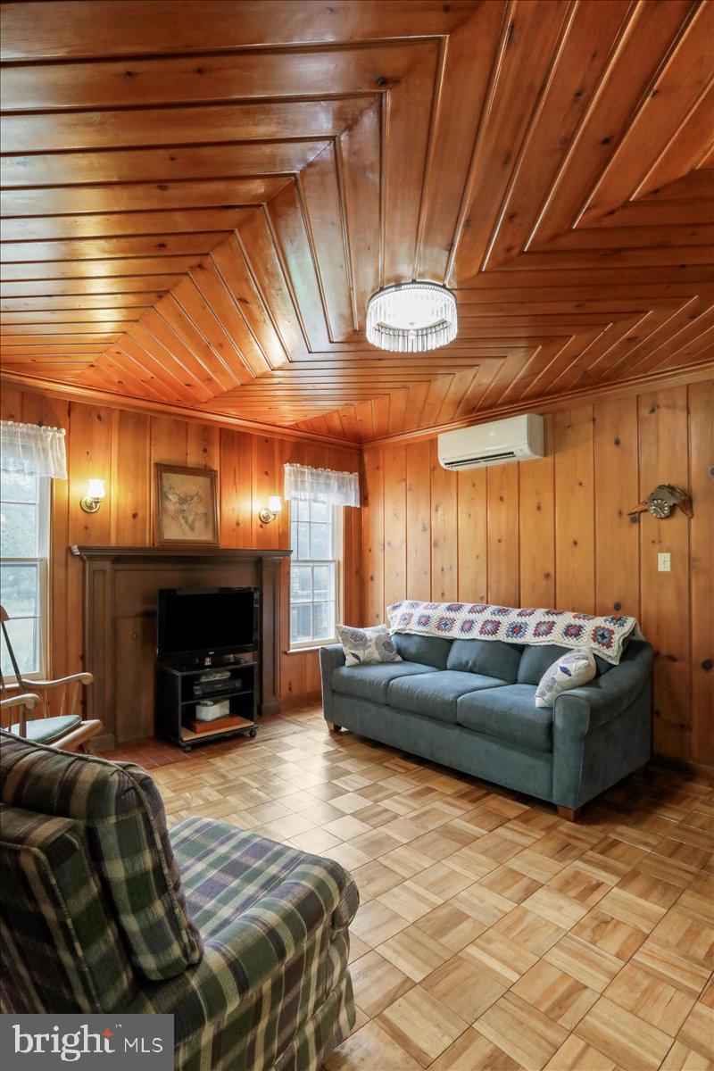 12465 Supinlick Ridge Road Edinburg, VA 22824 - Photo 30 of 76 Living Room Custom Ceiling