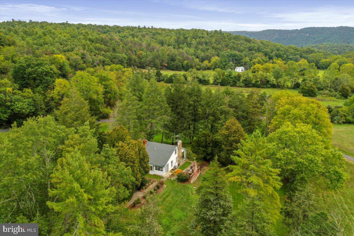 12465 Supinlick Ridge Road Edinburg, VA 22824 - Photo 6 of 76