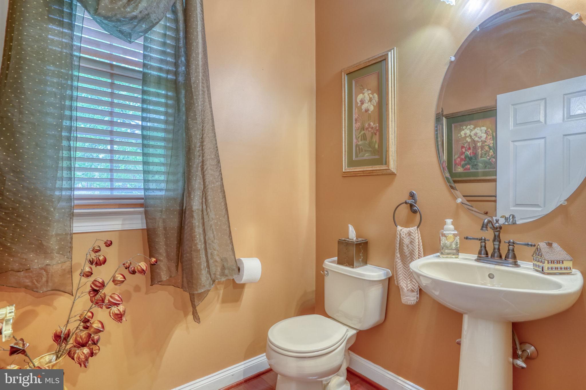 357 Willits Way Garnet Valley, PA 19060 - Photo 13 of 63 a bathroom with a sink and mirror with toilet