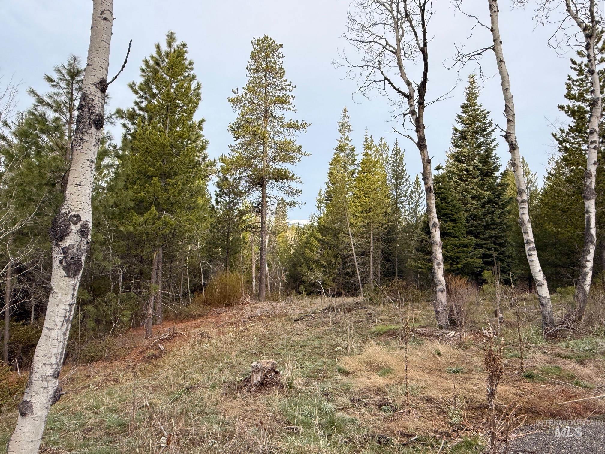 11 Sawtooth Loop Cascade, ID 83611 - Photo 12 of 19