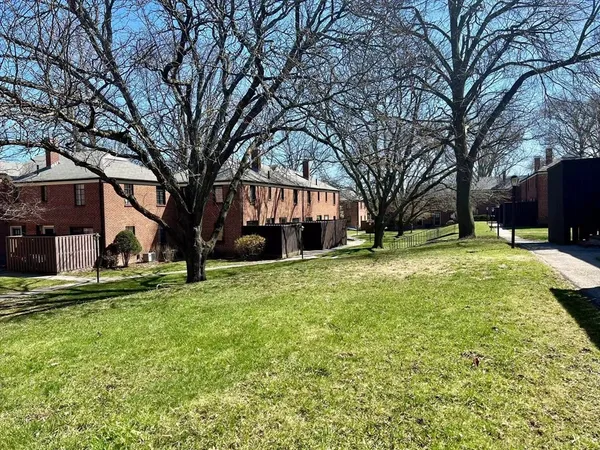 a view of a yard with a house and a large tree