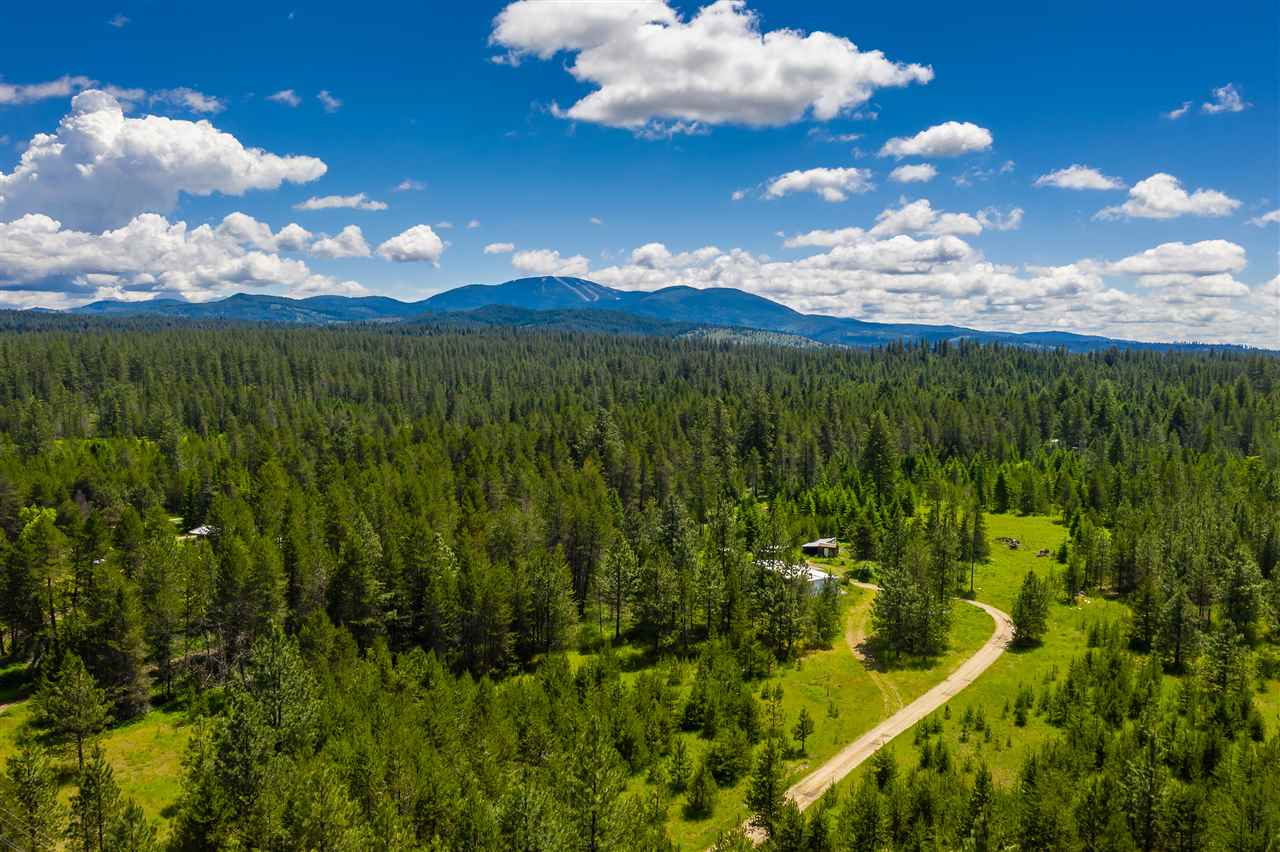 12916 East Bridges Road Elk, WA 99009 - Photo 3 of 10