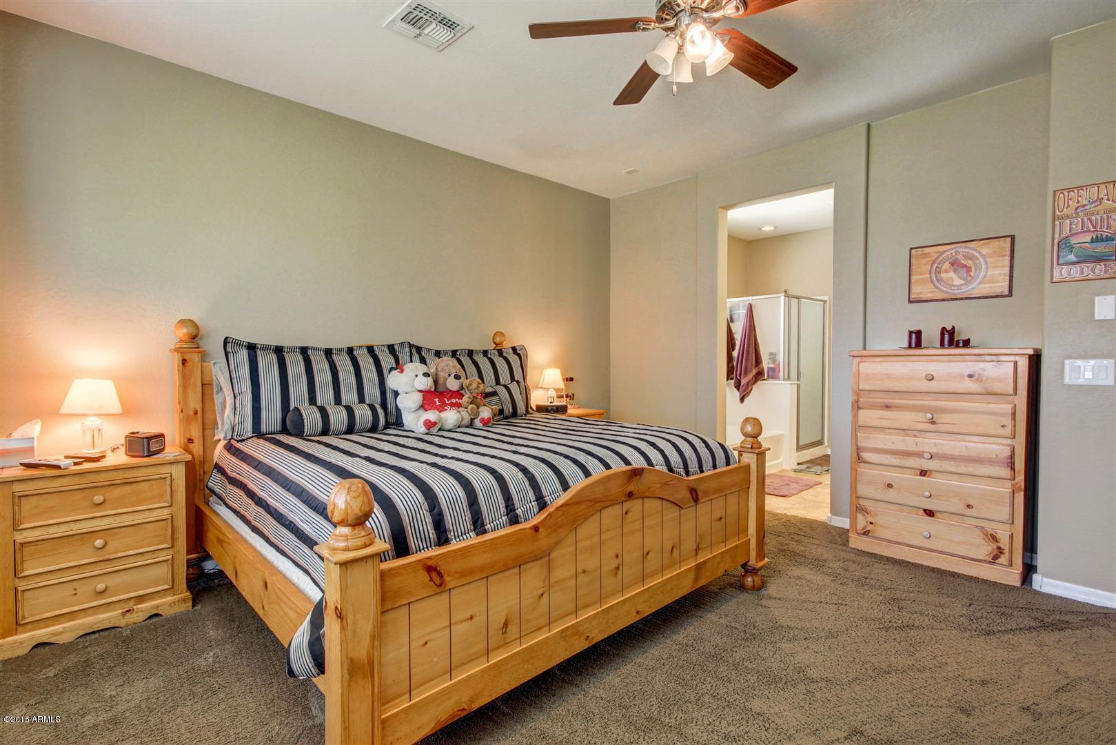 4502 East Blue Sage Road Gilbert, AZ 85297 - Photo 14 of 30 Sage Blue (19)
