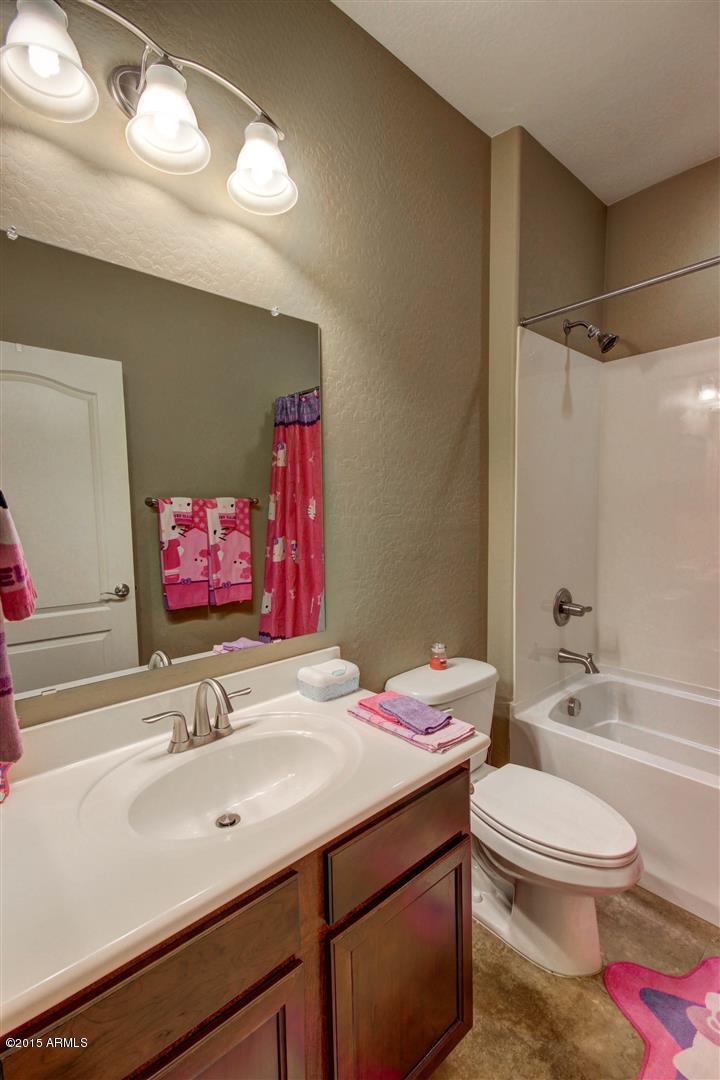 4502 East Blue Sage Road Gilbert, AZ 85297 - Photo 16 of 30 Sage Blue (6)
