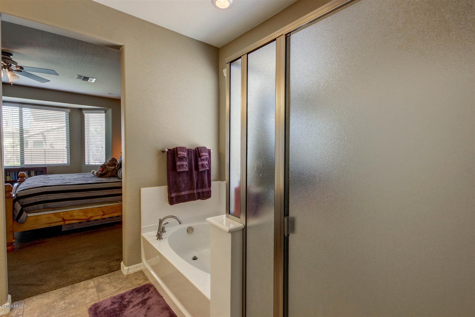 4502 East Blue Sage Road Gilbert, AZ 85297 - Photo 22 of 30 Sage Blue (23)