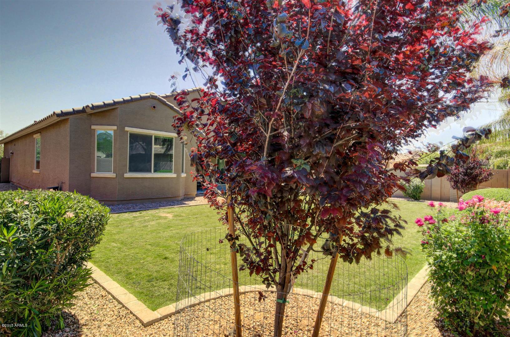 4502 East Blue Sage Road Gilbert, AZ 85297 - Photo 26 of 30 Sage Blue (27)