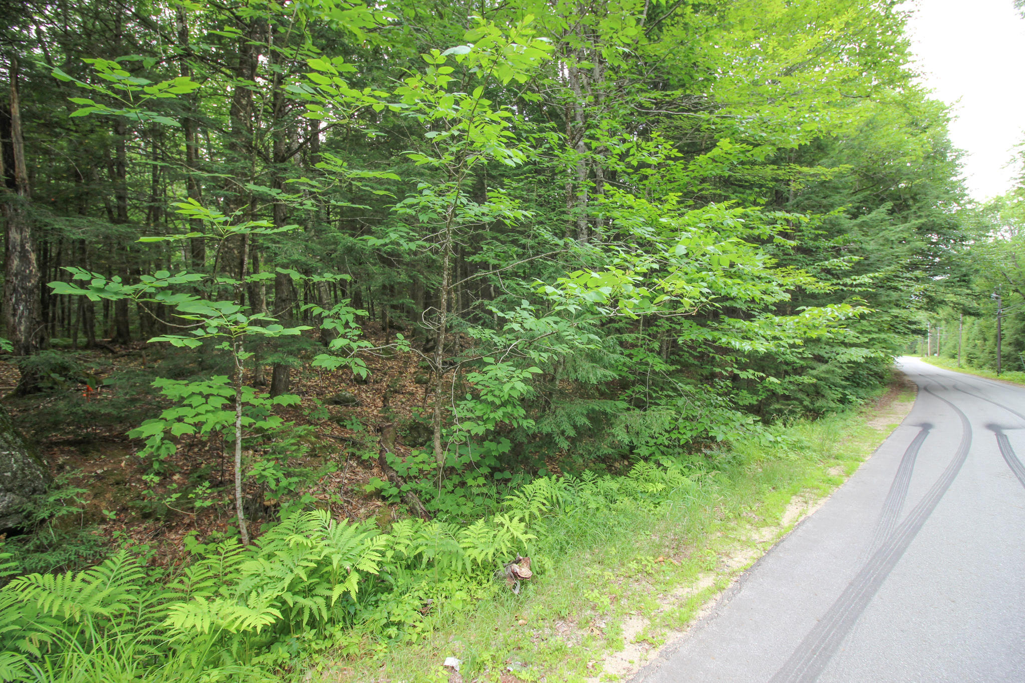 Tbd Rocky Road Bryant Pond, ME 04219 - Photo 12 of 17 IMG_9129