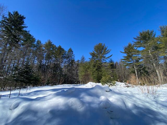 309 Beach Road Lincolnville, ME 04849 - Photo 4 of 28 2