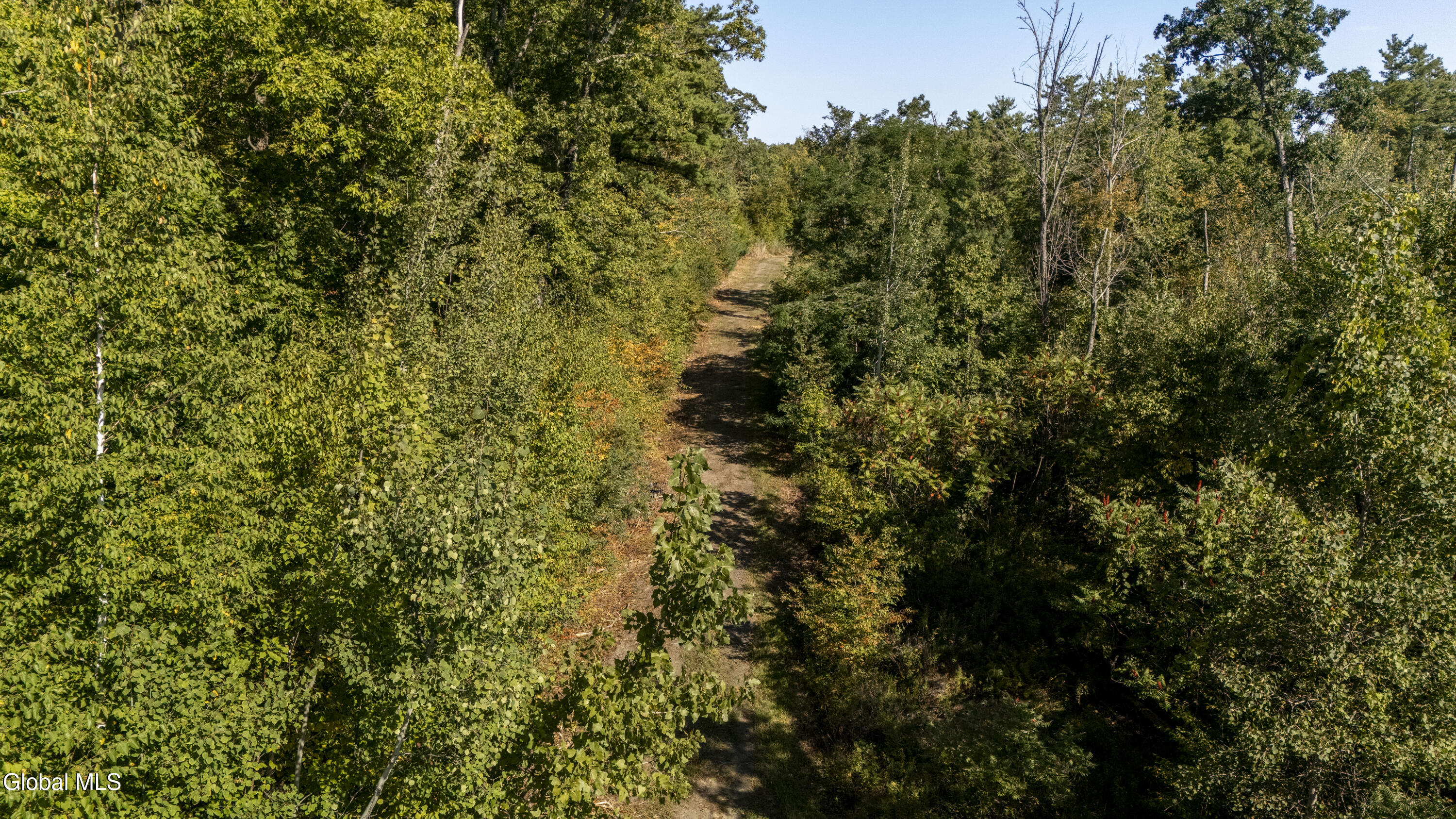 DJI_20241106061119_0674_D-HDR