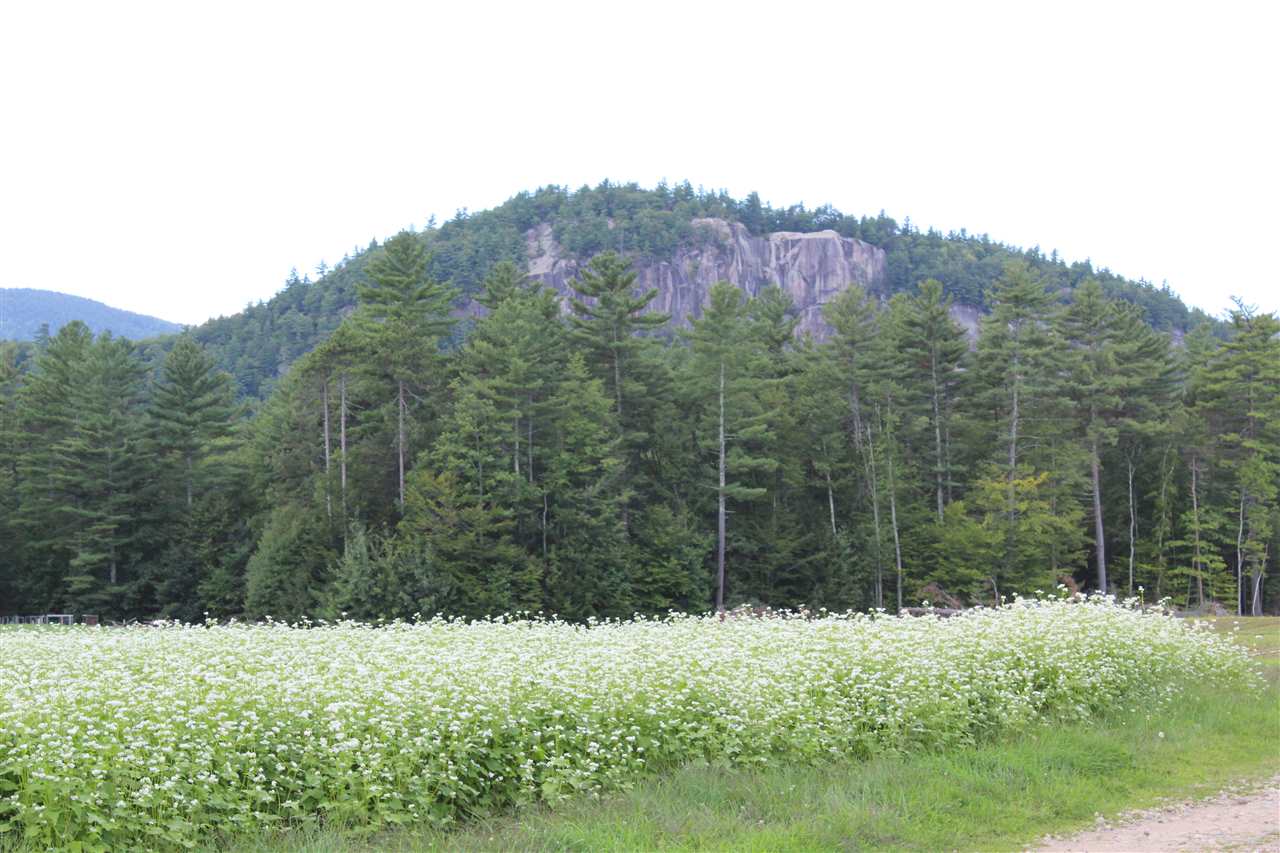 146 Stonehurst Manor Road, Unit 12C Conway, NH 03860 - Photo 30 of 35