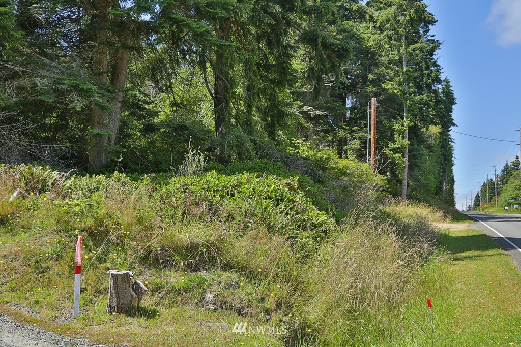 2470 North Bluff Road Greenbank, WA 98253 - Photo 11 of 14 Gallery Image 11