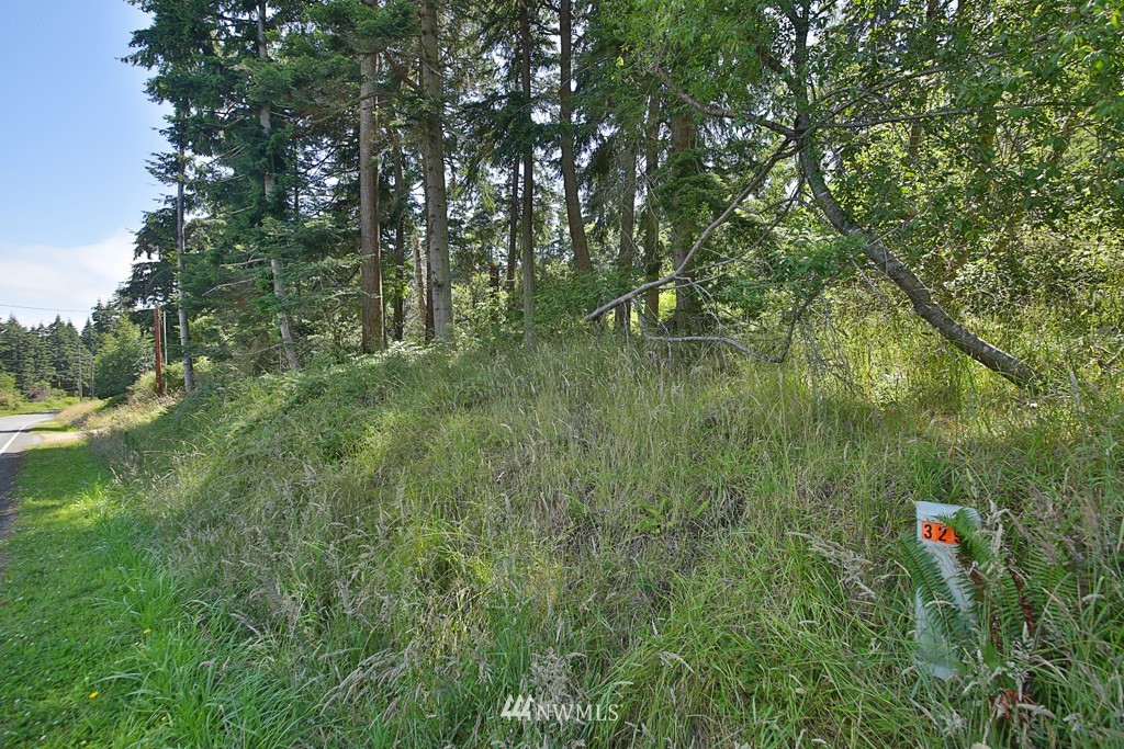 2470 North Bluff Road Greenbank, WA 98253 - Photo 13 of 14 Gallery Image 13