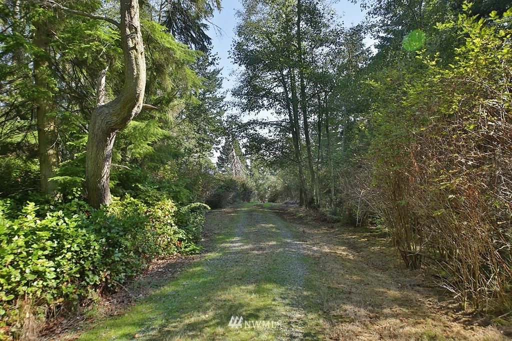 2470 North Bluff Road Greenbank, WA 98253 - Photo 7 of 14 Gallery Image 7