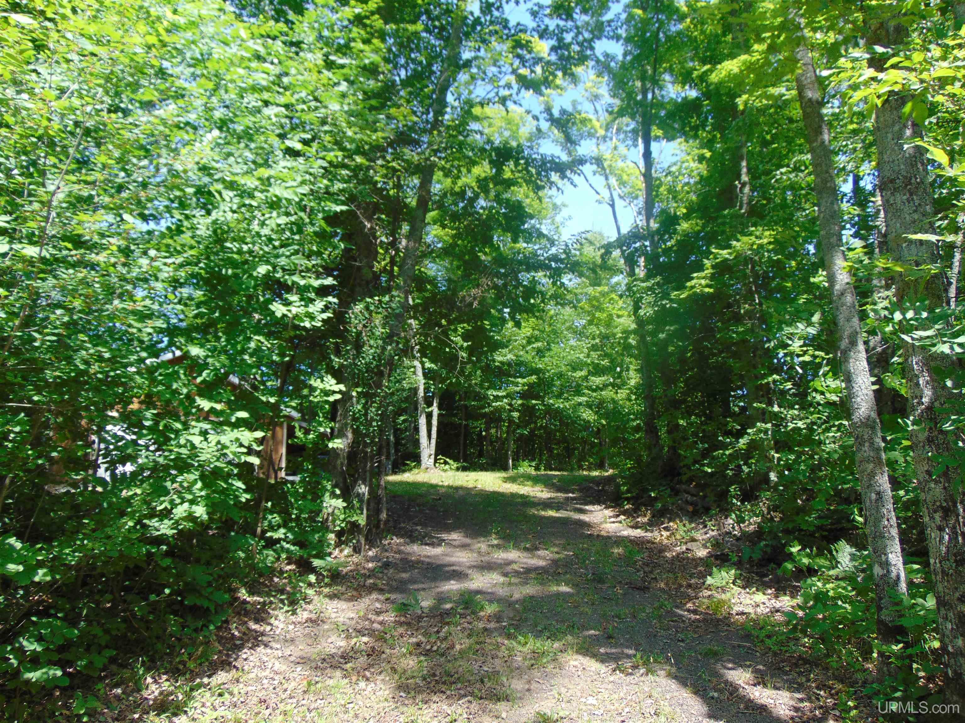 24954 Victoria Dam Road Rockland, MI 49960 - Photo 74 of 78