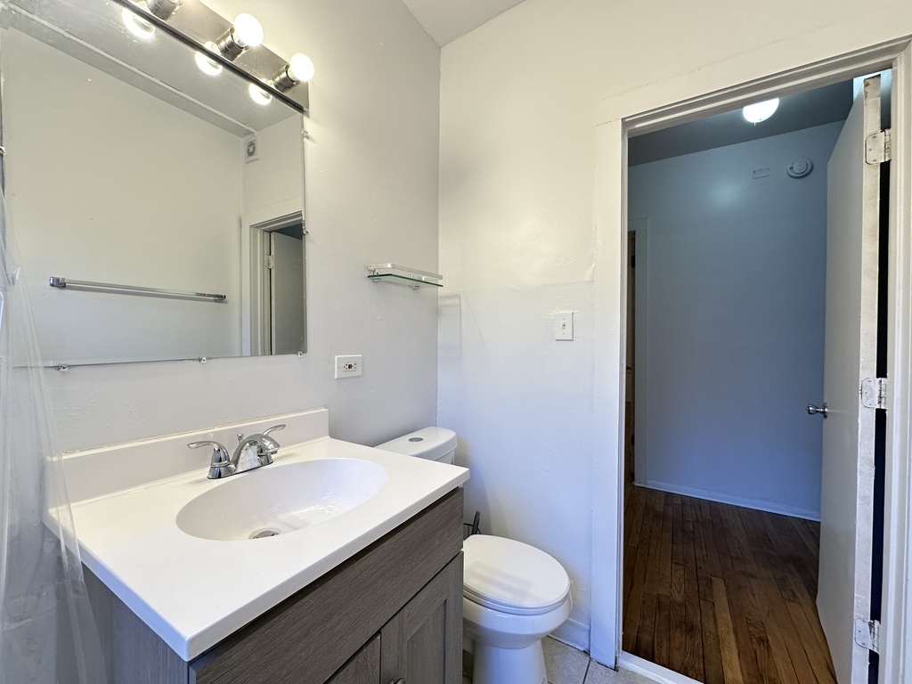 7149 South Constance Avenue, Unit 1E Chicago, IL 60649 - Photo 20 of 20 a bathroom with a sink toilet and vanity