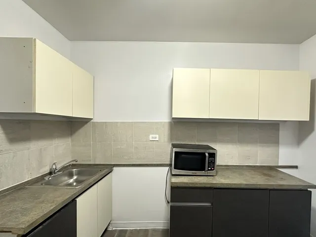 $1,300 | 7149 South Constance Avenue, Unit 1E, Chicago, IL 60649