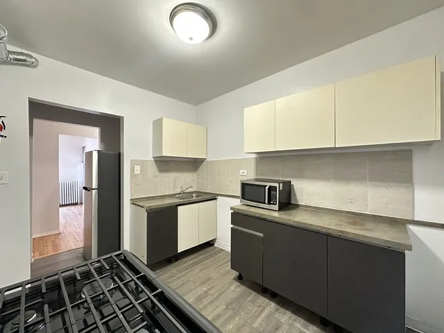 $1,300 | 7149 South Constance Avenue, Unit 1E, Chicago, IL 60649