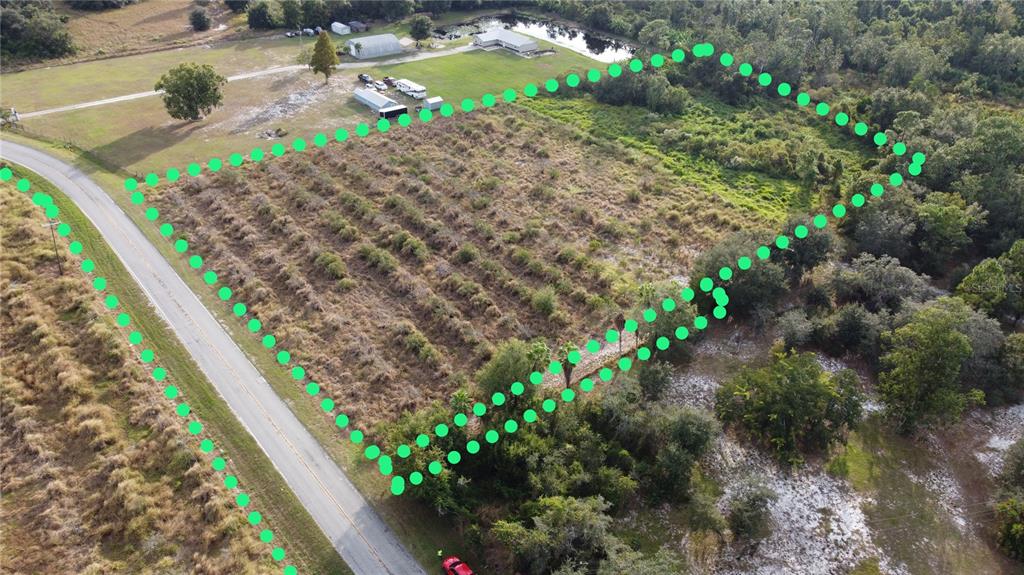 7630 Lake Buffum Road North Lake Wales, FL 33859 - Photo 5 of 14 a picture of flowers