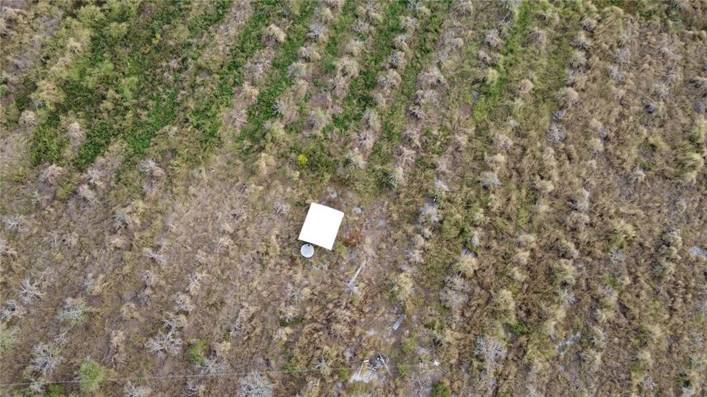 7630 Lake Buffum Road North Lake Wales, FL 33859 - Photo 6 of 14 a close up of a wall