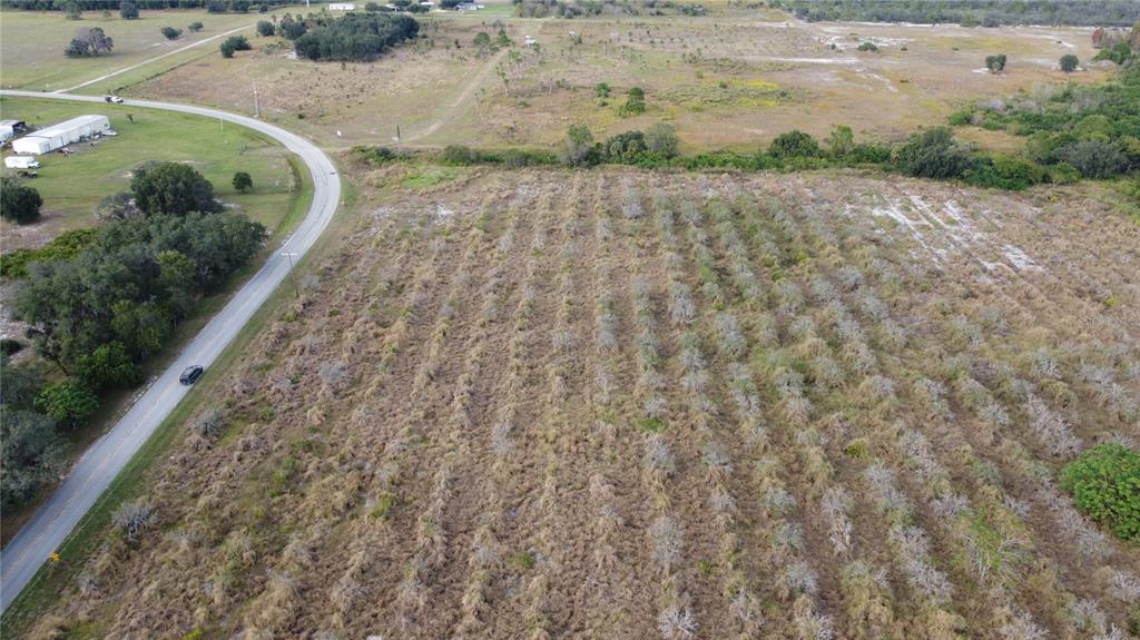 7630 Lake Buffum Road North Lake Wales, FL 33859 - Photo 7 of 14 a view of a dry yard with wooden fence
