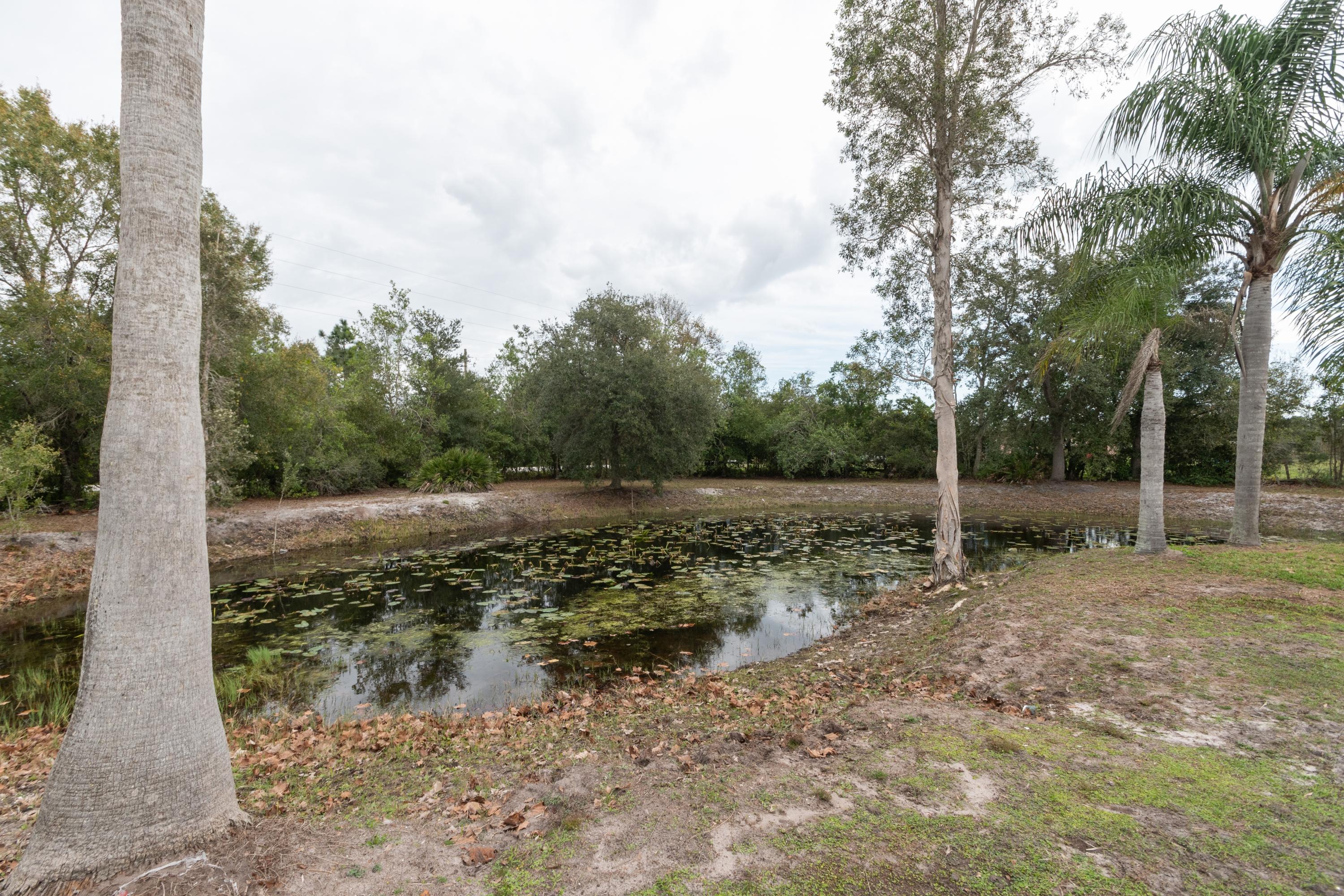 4540 Pine Tree Drive St. Cloud, FL 34772 - Photo 4 of 14 Pond View