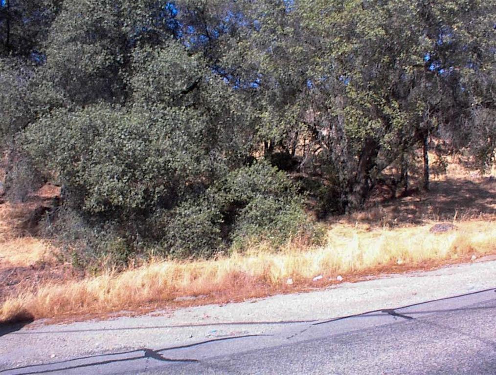 453 Ennis Road Squaw Valley, CA 93675 - Photo 2 of 8 a view of a yard with large trees
