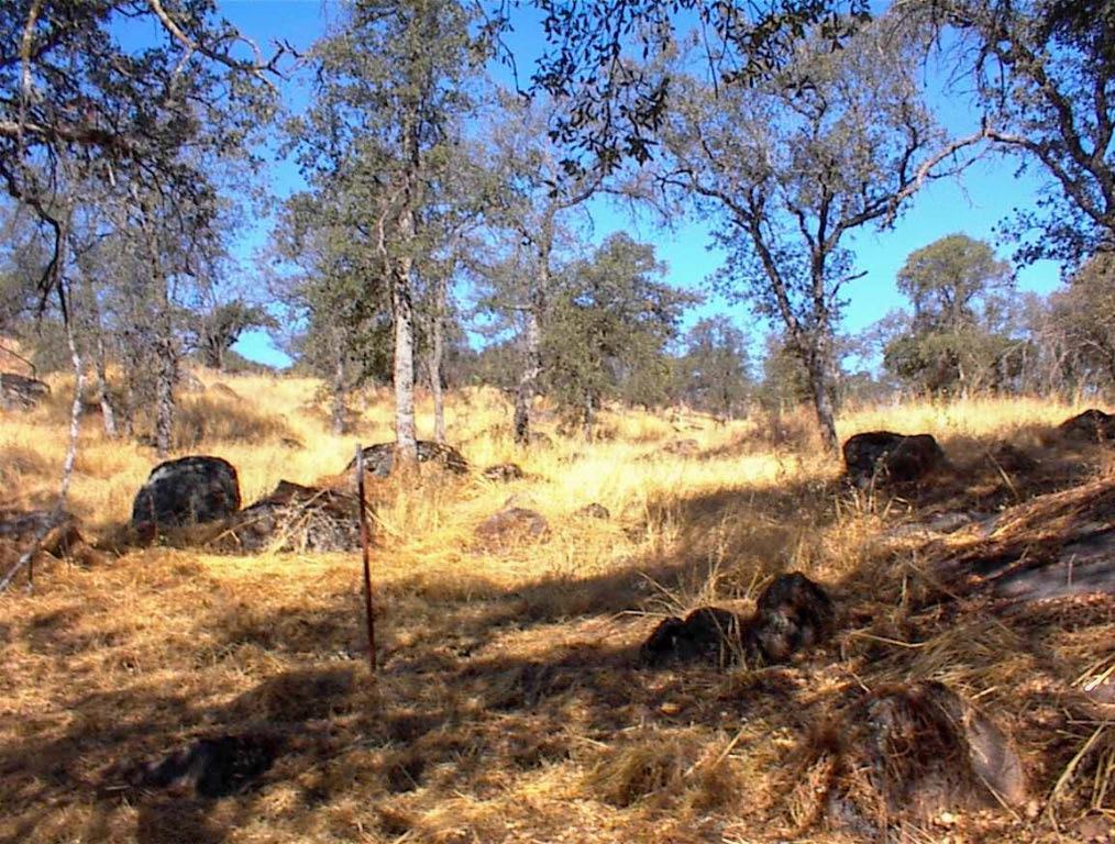 453 Ennis Road Squaw Valley, CA 93675 - Photo 3 of 8 a view of a yard