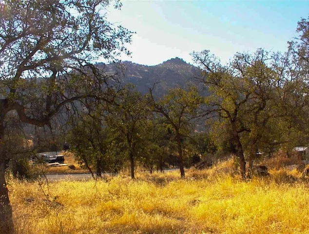 a view of swimming pool with a yard