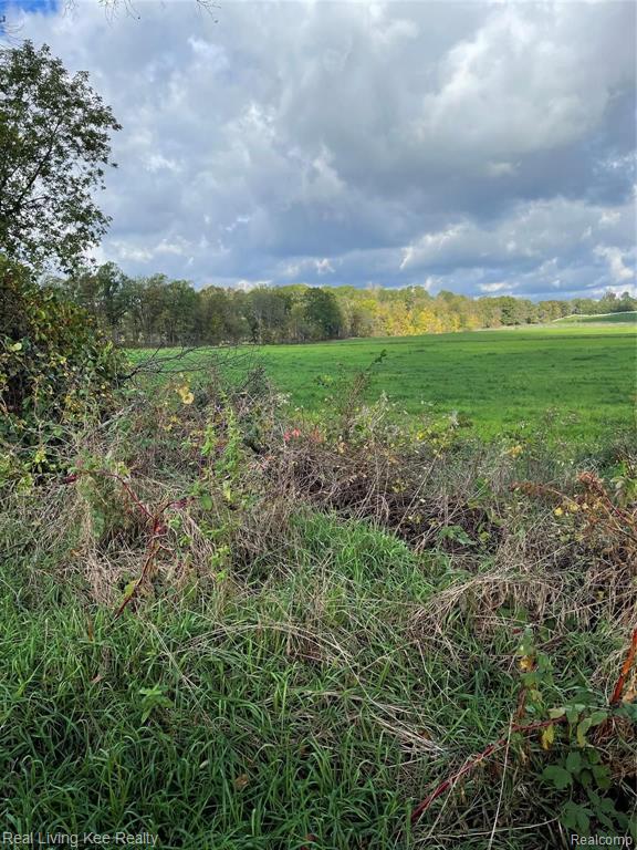 V/l Delano Road Oxford, MI 48371 - Photo 3 of 7