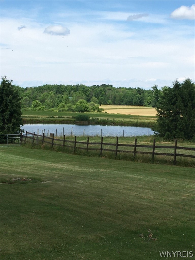 7288 Center Street Colden, NY 14170 - Photo 44 of 47